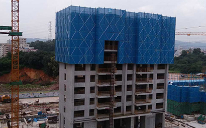 福建爬架网图片4